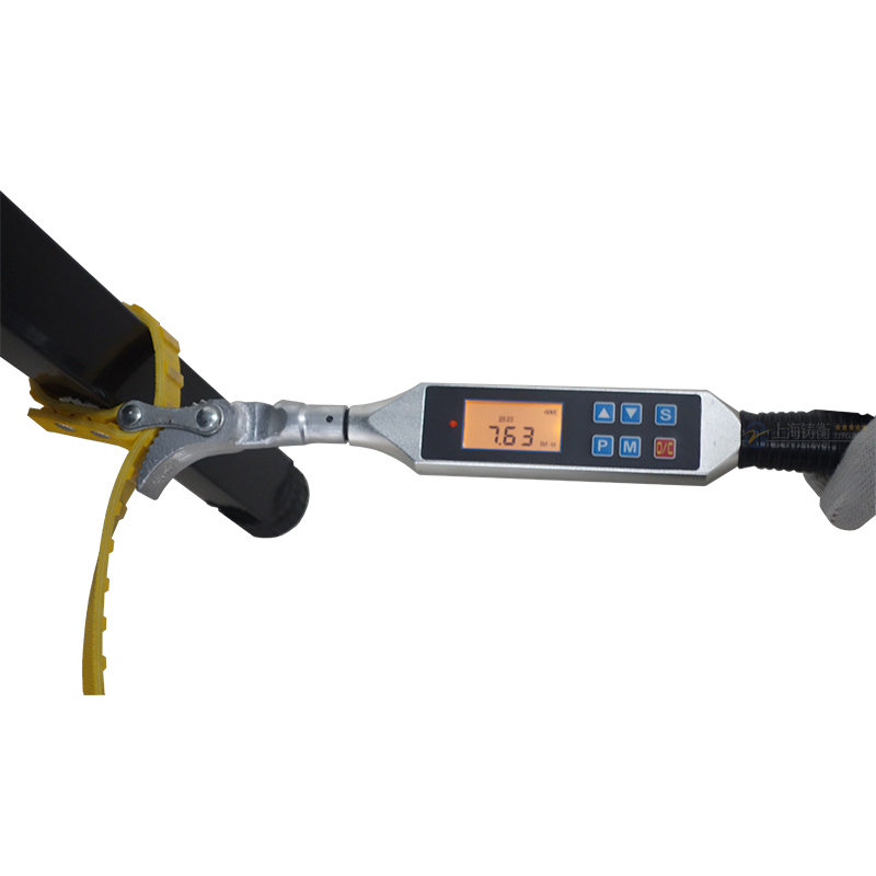 ����Ť������